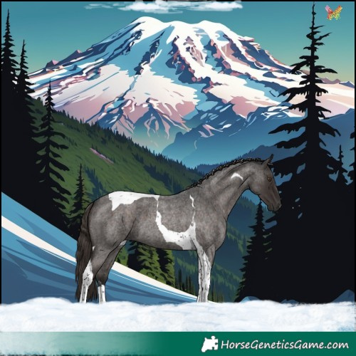 Horse Color:Liver Red Roan Tobiano 