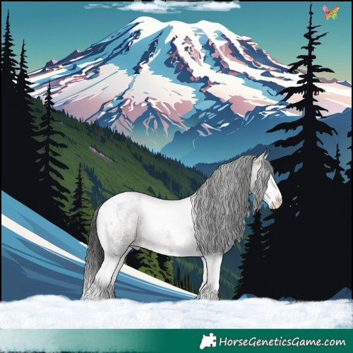 Horse Color:Brown Roan Splash Tobiano 
