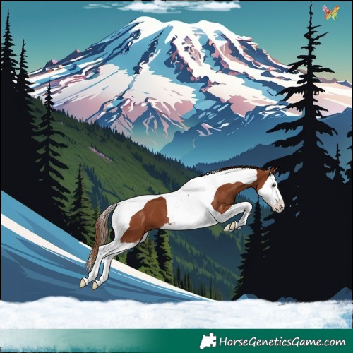 Horse Color:Chestnut Splash Tobiano 