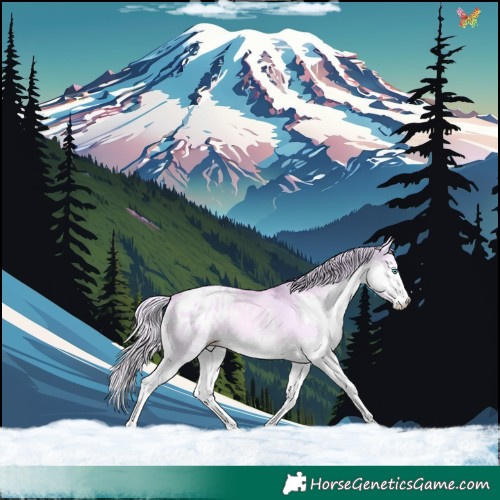 Horse Color:Watercolor Gold Cream Champagne Dun Sabino Splash Appaloosa 