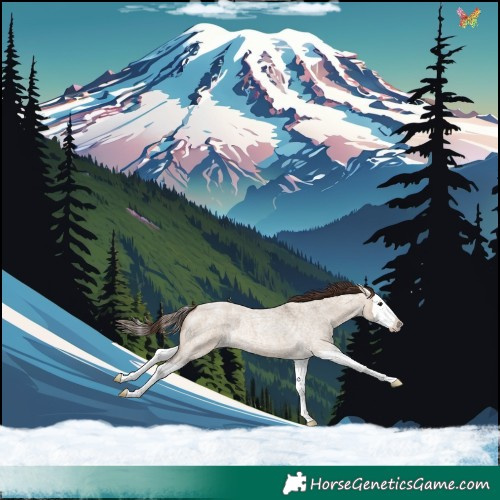Horse Color:Bay Roan Dun Splash Appaloosa