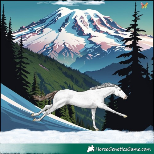 Horse Color:Chestnut Sabino Splash Appaloosa Rabicano