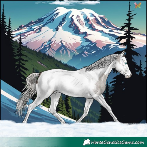 Horse Color:Silver Grullo Roan Splash Tobiano Appaloosa