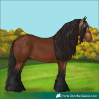 Horse Color:Gray Bay