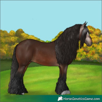 Horse Color:Gray Bay