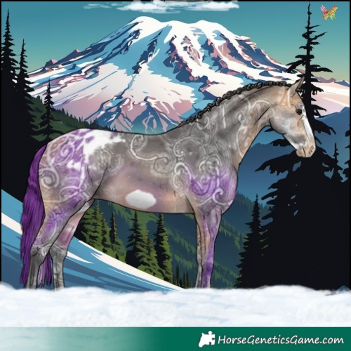 Horse Color:Buckskin Ice Merle Splash Frame Varnish 