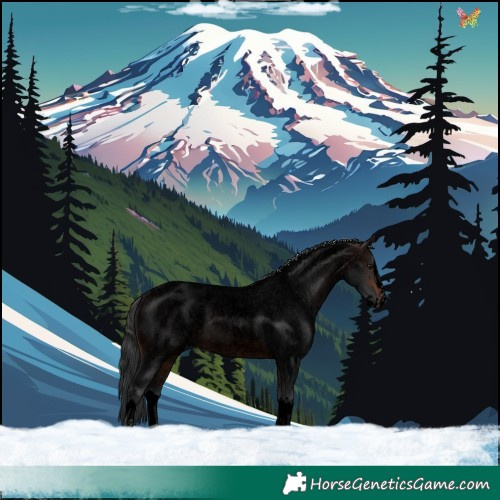 Horse Color:Void Brown Roan Sabino Splash