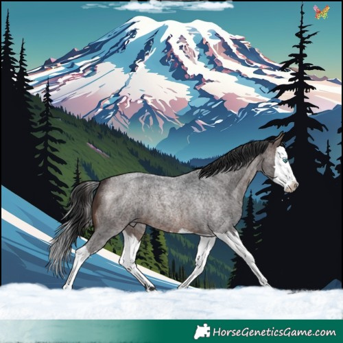 Horse Color:Brown Roan Splash 