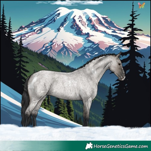 Horse Color:White Spotted Grullo Roan Splash 