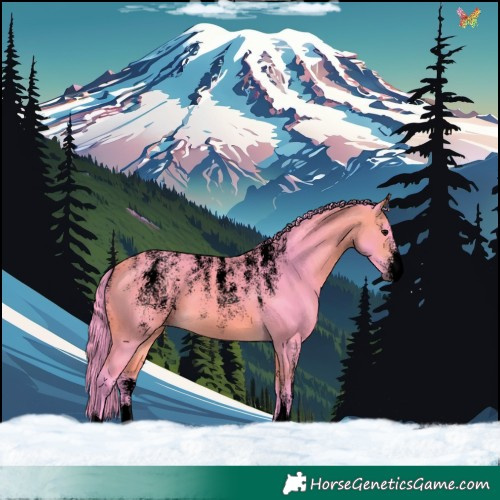 Horse Color:Powder White Void Watercolor Buckskin