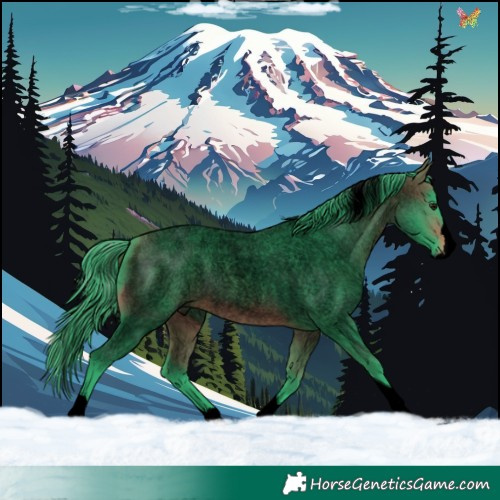 Horse Color:Void Watercolor Bay Roan Splash Tobiano