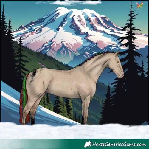Horse Color:Powder White Void Painted Classic Champagne Dun Tobiano Rabicano 