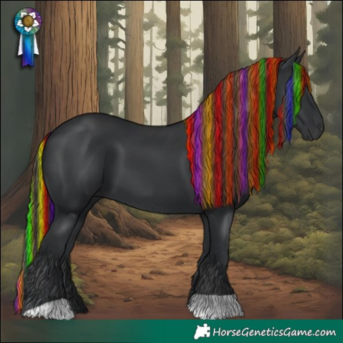 Horse Color:Painted Black 