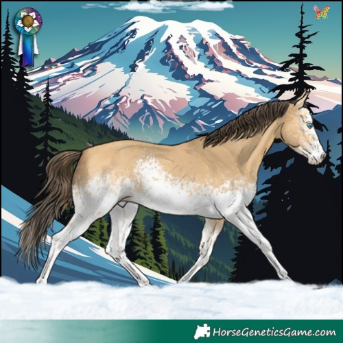 Horse Color:White Spotted Amber Cream Champagne