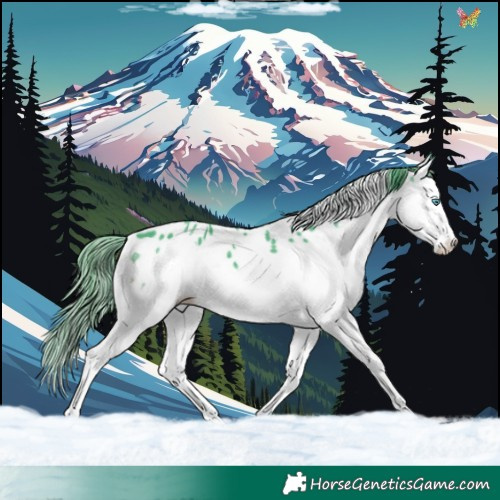 Horse Color:Watercolor Black Splash Near Leopard