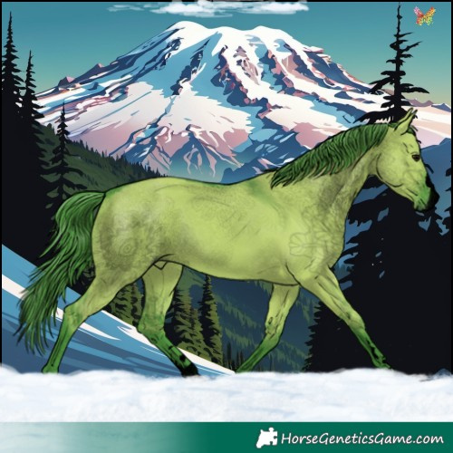 Horse Color:Void Watercolor Grullo Splash 