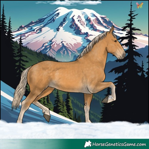 Horse Color:Palomino 