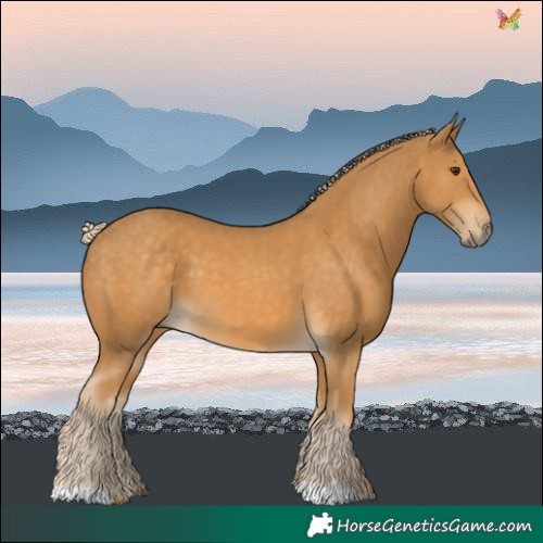 Horse Color:Palomino 