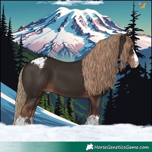 Horse Color:Liver Chestnut Varnish 