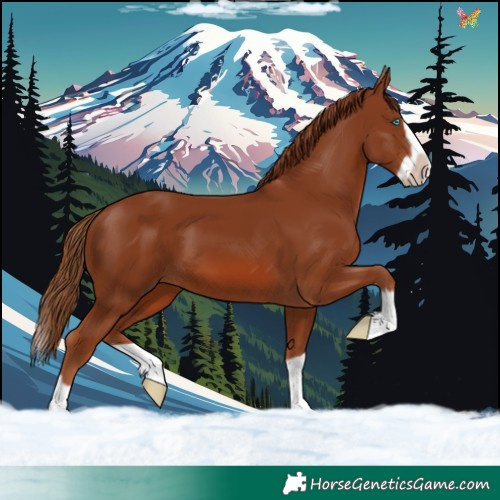 Horse Color:Chestnut Splash Frame