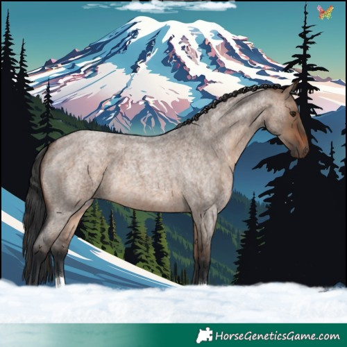 Horse Color:Brown Roan Dun 