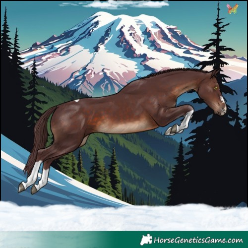 Horse Color:Chocolate Brown Tobiano 