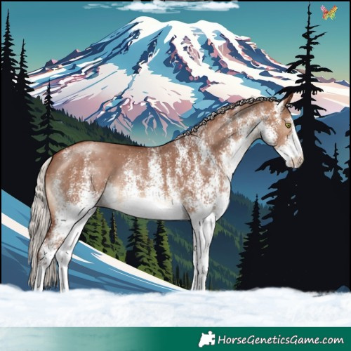 Horse Color:White Spotted Chocolate Silver Brown Dun Brindle