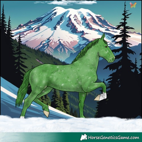 Horse Color:Watercolor Liver Chestnut Appaloosa 