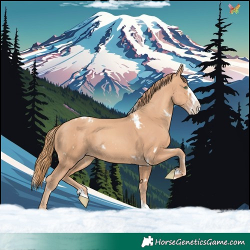 Horse Color:White Spotted Gold Champagne Splash 