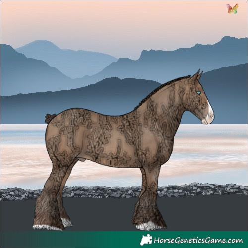 Horse Color:Amber Champagne Ice Splash 
