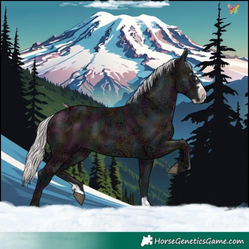 Horse Color:Watercolor Midnight Silver Brown Ice Splash 