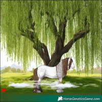 Horse Color:Bay Dun Near Fewspot 