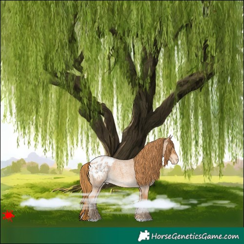 Horse Color:Red Roan Blanket