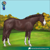 Horse Color:Chocolate Brown