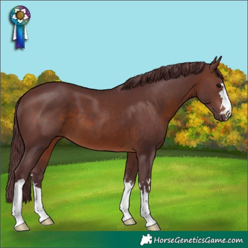 Horse Color:Chocolate Brown