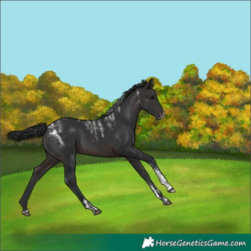 Horse Color:Powder White Brown 