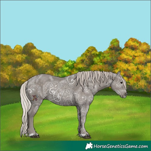 Horse Color:Silver Black Ice 