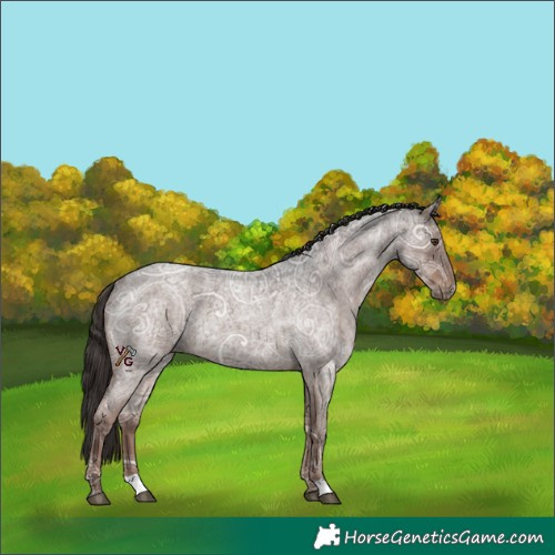 Horse Color:Liver Red Ice Roan 