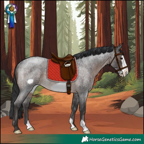 Horse Color:Brown Roan Frame Rabicano