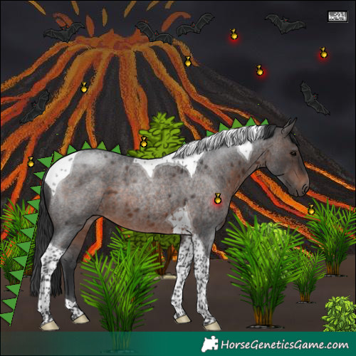 Horse Color:Brown Roan Tobiano