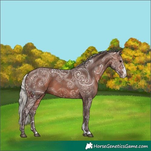 Horse Color:Silver Bay Ice Sabino 