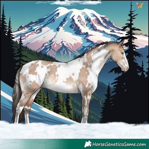 Horse Color:White Spotted Sable Champagne Dun