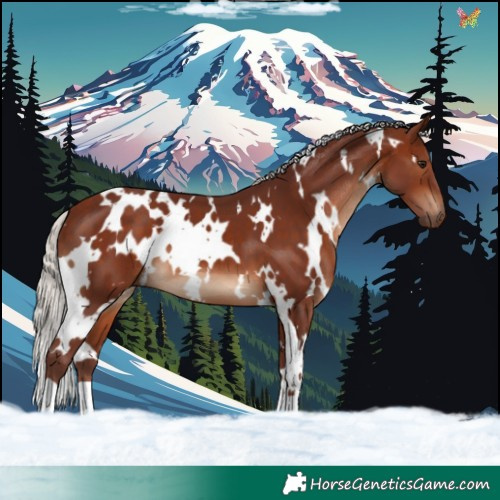 Horse Color:White Spotted Chocolate Silver Brown 