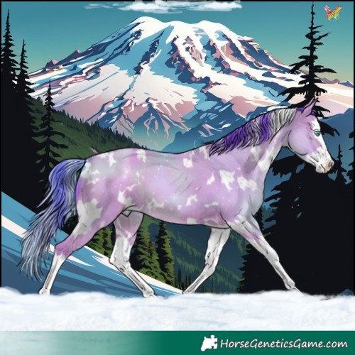 Horse Color:Watercolor White Spotted Classic Champagne Dun Splash