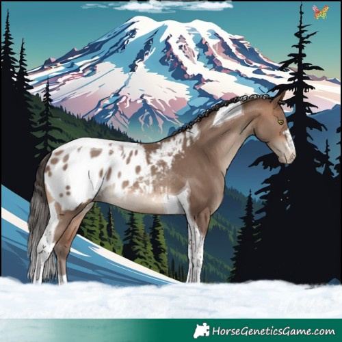 Horse Color:Sable Champagne Tobiano Blanket Rabicano