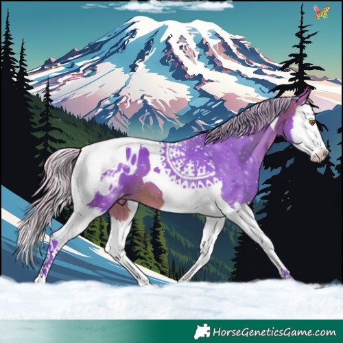 Horse Color:Watercolor Chocolate Silver Brown Splash Tobiano Appaloosa