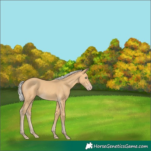 Horse Color:Silver Sable Cream Champagne 