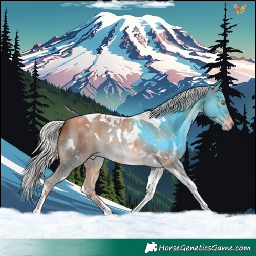 Horse Color:White Spotted Silver Sable Champagne Tobiano 