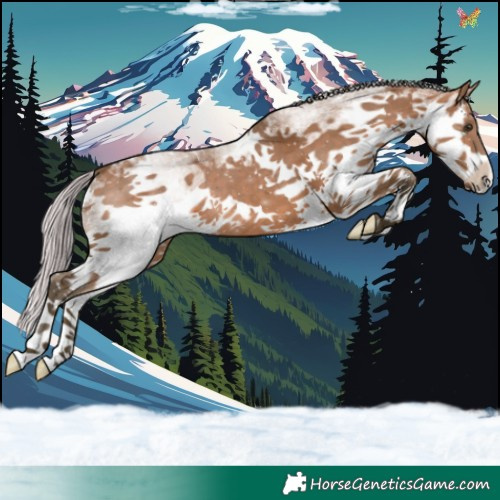 Horse Color:White Spotted Silver Brown Dun Splash 