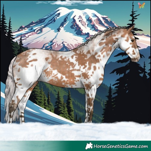 Horse Color:White Spotted Silver Brown Dun Splash